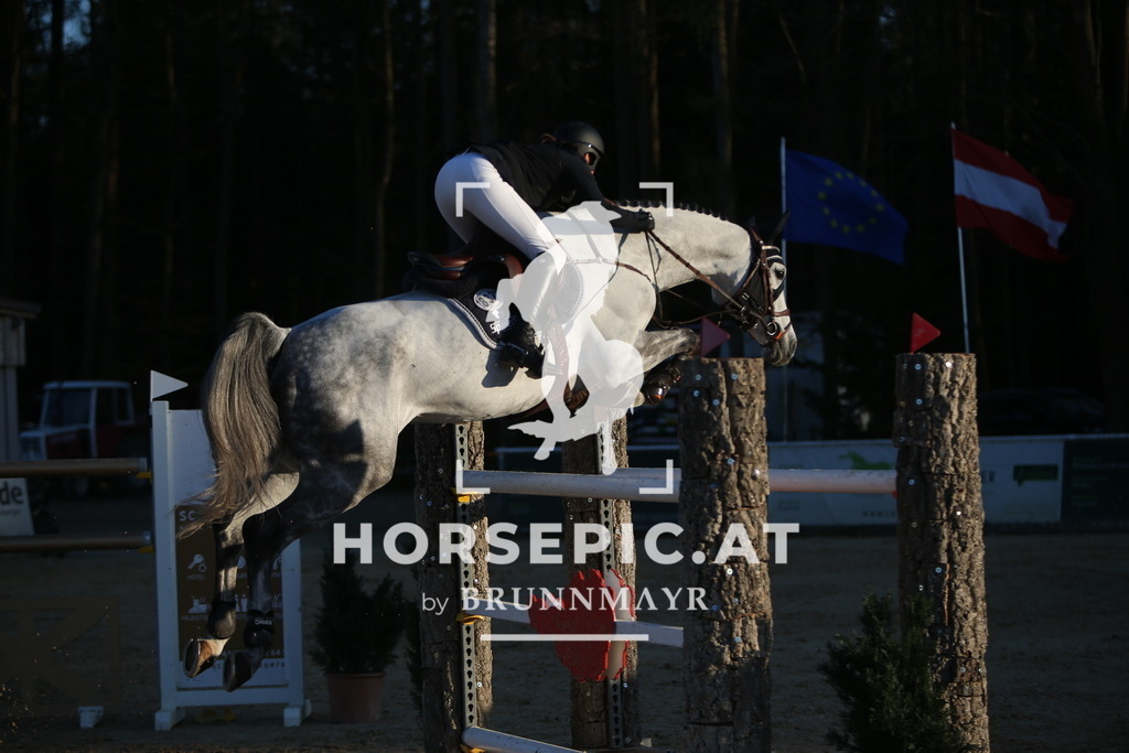 PP016534 | Willkommen bei Brunnmayr - Design & Fotografie – Ihrem Spezialisten für Reitturniere und Pferdeveranstaltungen in Oberösterreich, Salzburg und Bayern! Seit über 17 Jahren sind wir leidenschaftlich dabei.