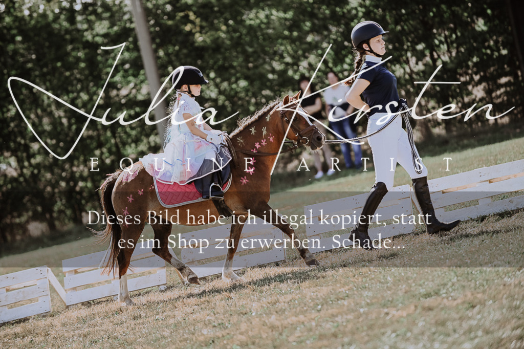 DSC_9178 | Pferde- und Turnierfotografie in Westsachsen. Pferdeportraits, Auftragszeichnungen und intuitive Kunst.