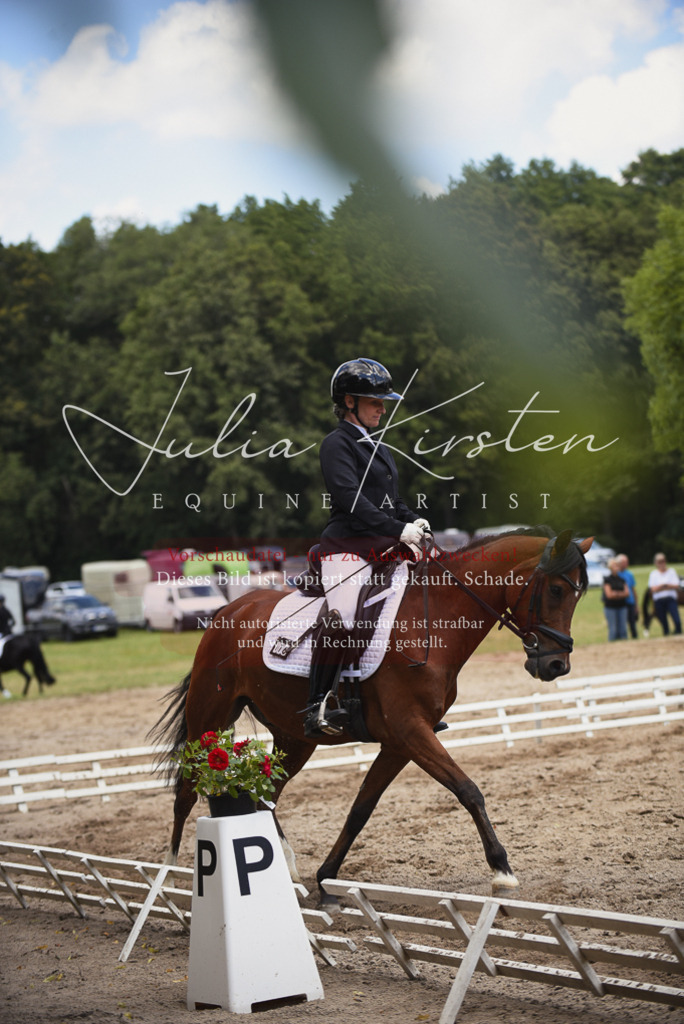 DSC_1547 | Pferde- und Turnierfotografie in Westsachsen. Pferdeportraits, Auftragszeichnungen und intuitive Kunst.