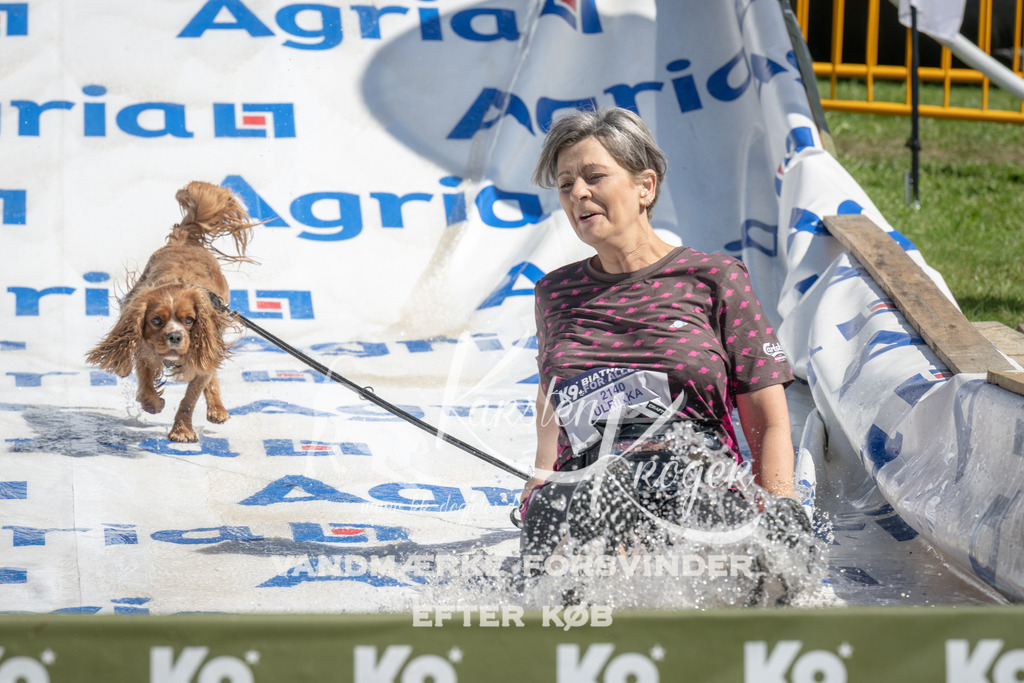 1220_ZZ96021 | kk-dogfotos