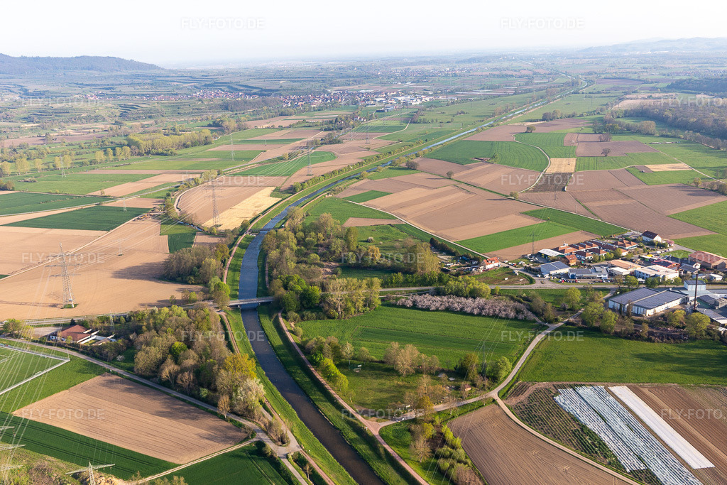 Luftbild: Dreisam im Ortsteil Neuershausen in March im Bundesland Baden-Württemberg in Deutschland. Foto: IMG_126696.jpg vom 25.04.2021 durch Werner Riehm/FLY-FOTO.de