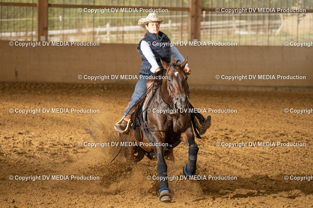 LAU01427 | dv-media-shop - Realisiert mit Pictrs.com