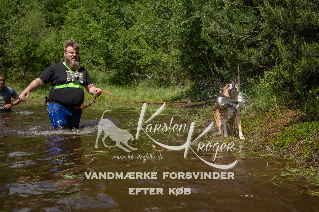 1321DKK994472 | kk-dogfotos