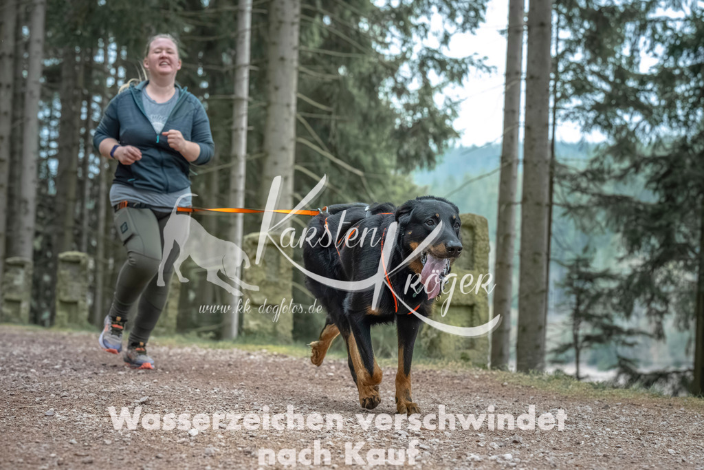 0815_ZZ90719 | kk-dogfotos