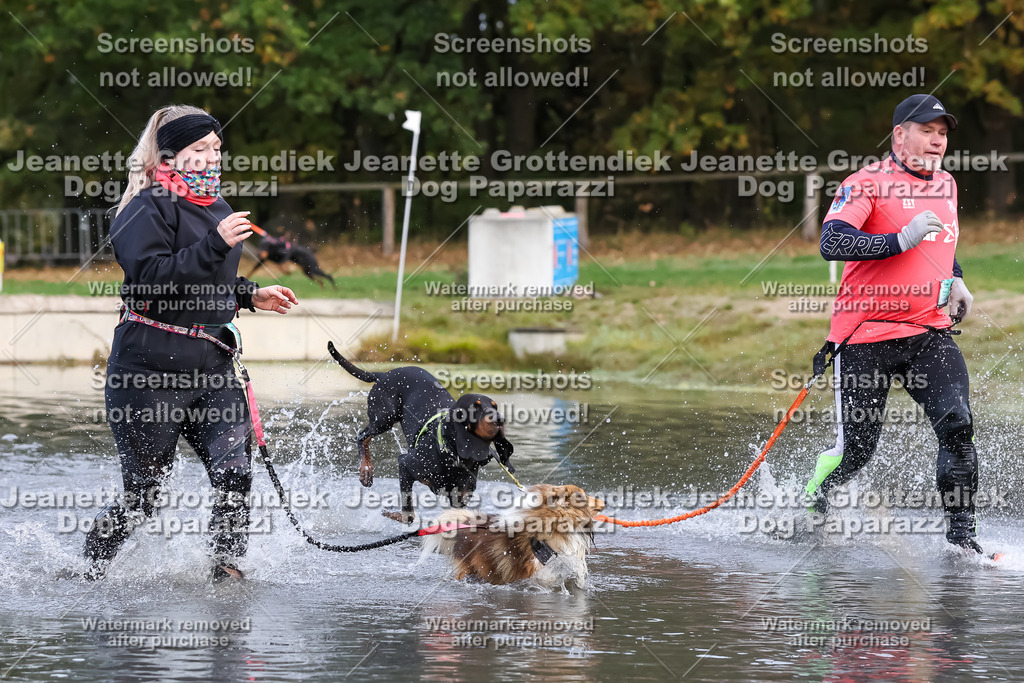 Dog Paparazzi - Strongdog 10-25-6838 | Dog Paparazzi Jeanette Grottendiek Fotografie & Videografie - Realisiert mit Pictrs.com