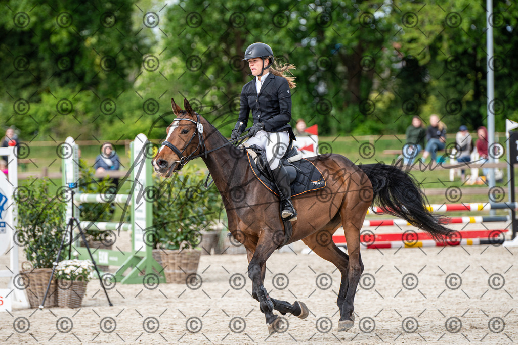 KPT_6548 | andre_photographic