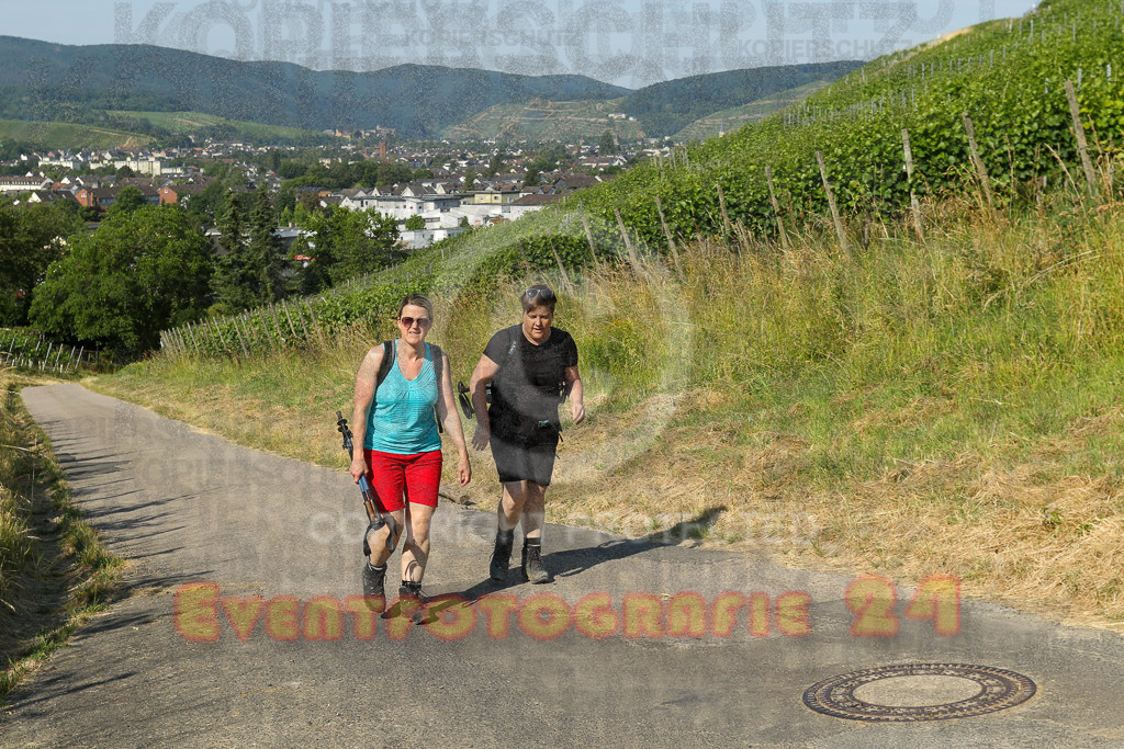 230617_0920_EV9_6370 | Sportfotografie im Rhein-Sieg Kreis, Köln, Bonn, NRW, Rheinland Pfalz, Hessen, etc. Unser Tätigkeitsfeld umfasst den Laufsport vom Volkslauf über den Marathon, Duathlon, Triathon bis zum Ultralauf wie Kölnpfad Ultra oder Schindertrail.