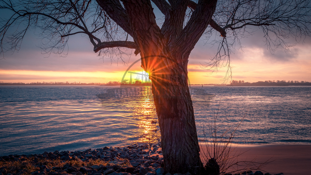 Elbstrand Blankenes Sunset Baum Hamburg | Exklusive Hamburg collagen, tolle Segelbilder und viele weitere tolle Motive auf Leinwand, Poster, Alu-Dibond, u.v.m. findet Ihr bei uns auf hamburgbild.de. Findet Euer Wandbild für Euer Zuhause, Büro oder die  Praxis…. - Realisiert mit Pictrs.com