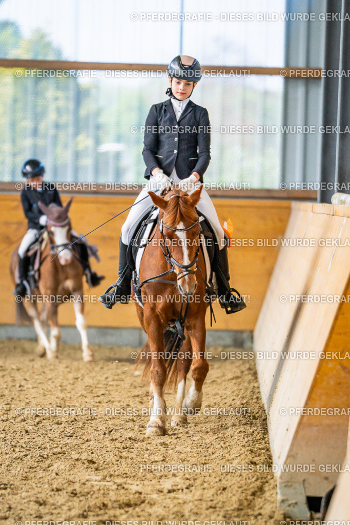 DSC03090 | Pferdegrafie