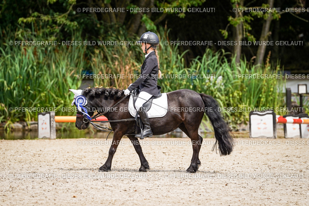 DSC02946 | Pferdegrafie