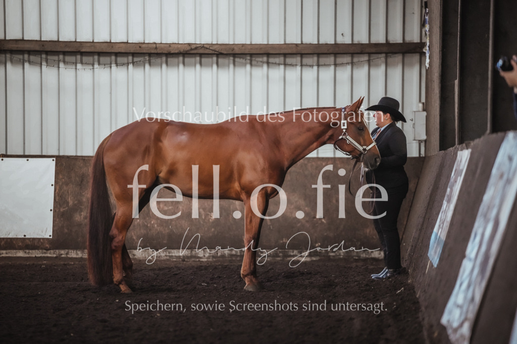 fell.o.fie_mandyjordan_2024_06_09608 | Mandy Klecke Fellfotografie, fell.o.fie Fotografenshop - Realisiert mit Pictrs.com