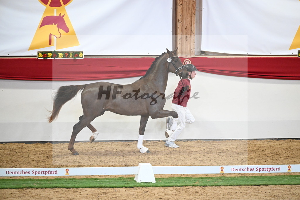 Kat.-Nr. 47 v. Damontez_Pfefferle_2250106 | hf-fotografie - Realisiert mit Pictrs.com