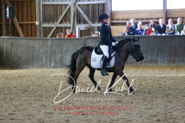 IMG_1201 | Turniersportfotografie; Pferdefotografie; Dressurfotografie