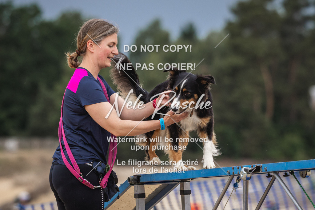 nelerasche_BuHu2026_So1330-1430_197 | nelerasche