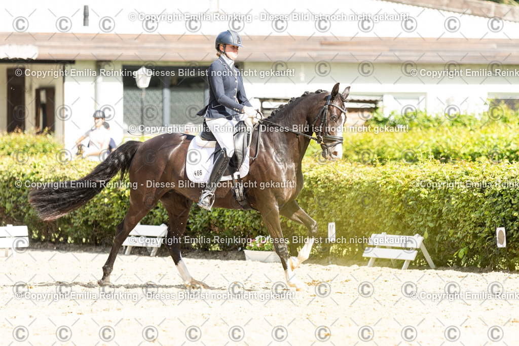 CL5A5984-2 | Emilia Reinking Fotografie - Realisiert mit Pictrs.com