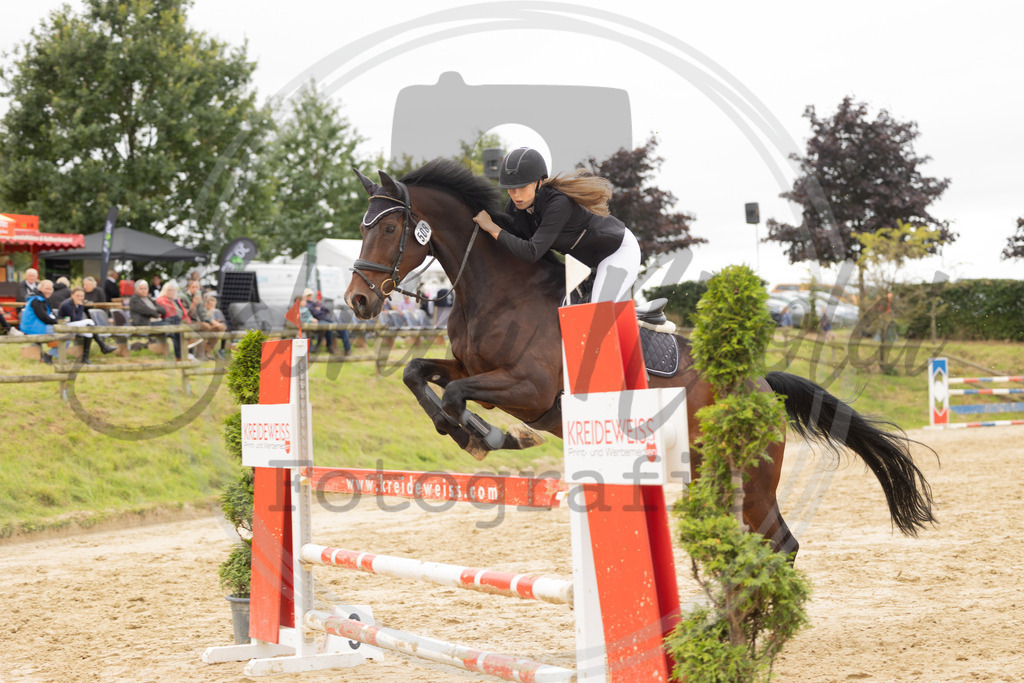 994A9015 | sabrinanicolaifotografie - Realisiert mit Pictrs.com