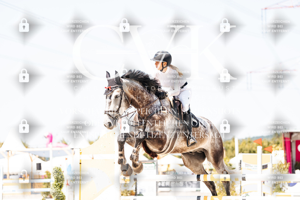 CK900004 | Turnierfotografie Pferdefotografie Trier Rheinland-Pfalz Pferdesport Reitsport Tierfotografie Sportfotografie Pferdevideo Pferdevideografie Equestrianvideography equestrianphotography  - Realisiert mit Pictrs.com