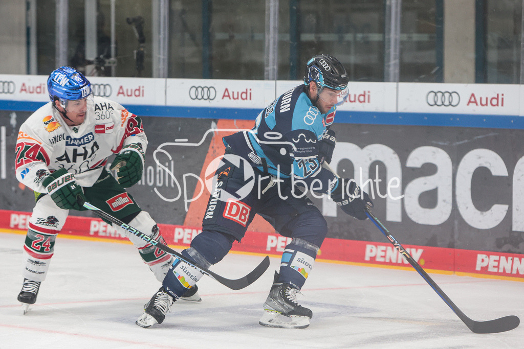 ERC Ingolstadt - Augsburger Panther  | Thomas Jordan TREVELYAN (AEV #24) im Duell mit Leon HUETTL (ERC #25)