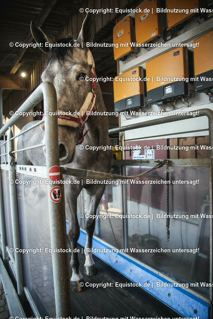 20200118_Laufband_0002 | Foto: Thomas Hartig