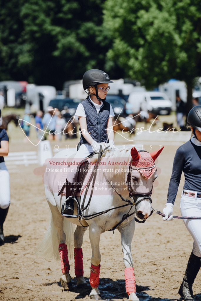 DSC_2404 | Pferde- und Turnierfotografie in Westsachsen. Pferdeportraits, Auftragszeichnungen und intuitive Kunst.