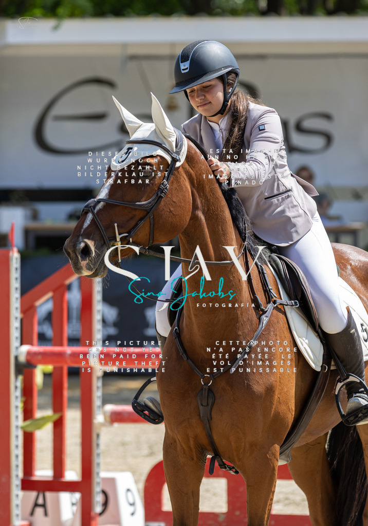 IMG_8138 | s-jay-photography - Realisiert mit Pictrs.com