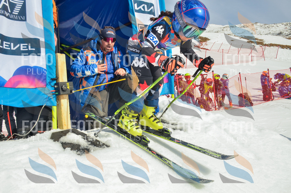 _ELE4458 | holidayphoto