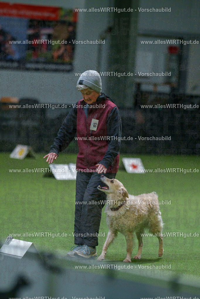 7R508000 | Professionelle Tierfotografie in Mönchengladbach von Daniel Wirth (allesWIRTHgut). Liebevolle & natürliche Bilder von Hunden & Katzen für unvergessliche Erinnerungen.