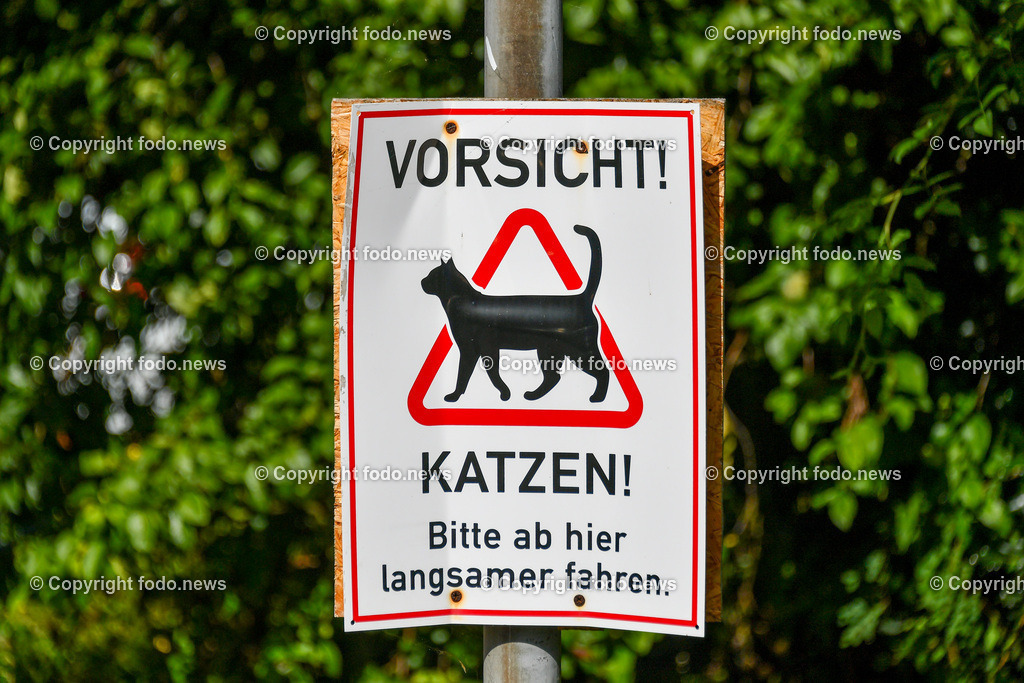 Deutschland_ Baden-Wuerttemberg_ Ebersbach an der Fils_ 14.08.2025-6 | 14.08.2025, Deutschland, GER, Baden-Wuerttemberg, Ebersbach an der Fils, im Bild Themenbild, Vorsicht, Katzen, Verkehrsschild, langsam fahren, Tierschutz, Warnschild, Haustiere, Wohngebiet, Straße, Verkehrssicherheit, Autofahrer, Achtsamkeit, Tierdurchgang, Schild mit Symbol, schwarze Katze, Hinweisschild, Schild, Hinweis, Feature, Symbolbild