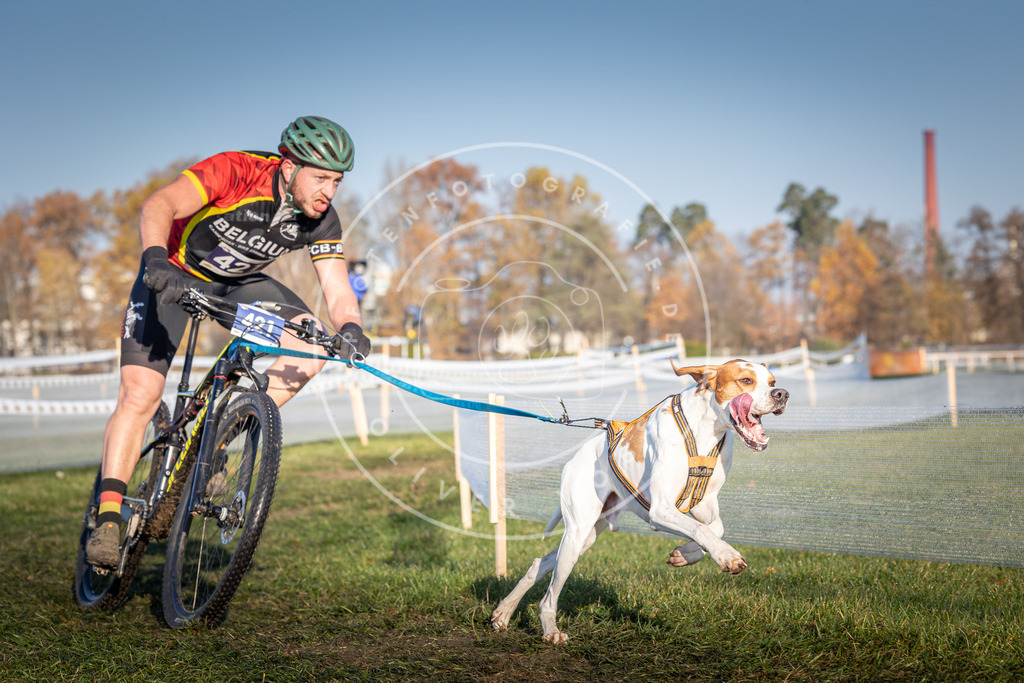 CaniXpix_0L8A4165 | Hundefotografie, Tierfotograf, Pfotenfotografie, Fotoshooting Hund, Hunde Portrait, Hundesport, Hundeportraits, Heideshooting, Hunde, Sportfotograf, Hundefotograf, Turnierhundsport, THS,  - Realisiert mit Pictrs.com