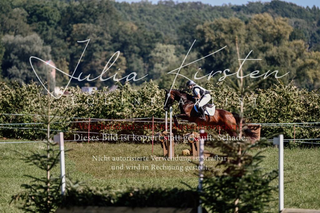 DSC_1490 | Pferde- und Turnierfotografie in Westsachsen. Pferdeportraits, Auftragszeichnungen und intuitive Kunst.