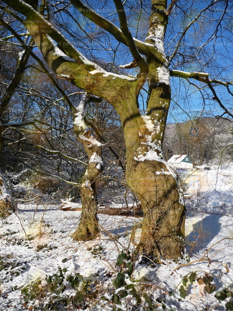 P1000192 | Fotoseite Wolkenblende - Das Hobby fotografieren begleitet mich schon  viele  Jahre. Auf den nächsten Seiten zeige ich ein paar Schnappschüsse der letzten Jahre und es kommen immer neue hinzu. Schau einfach mal rein. - Realisiert mit Pictrs.com
