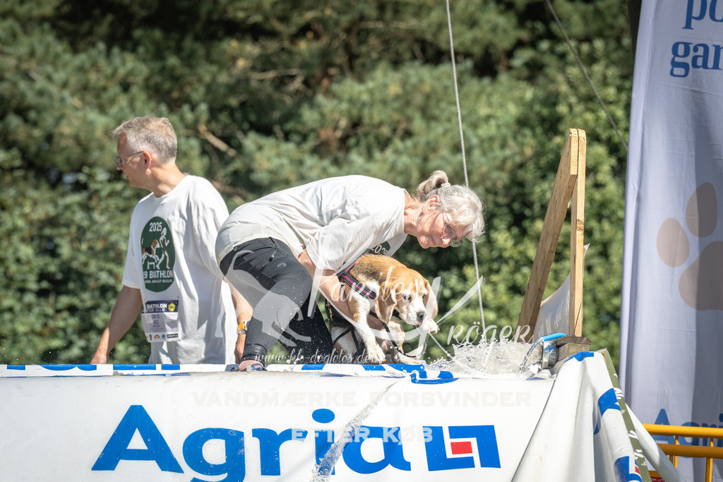 1333_ZZ90432 | kk-dogfotos