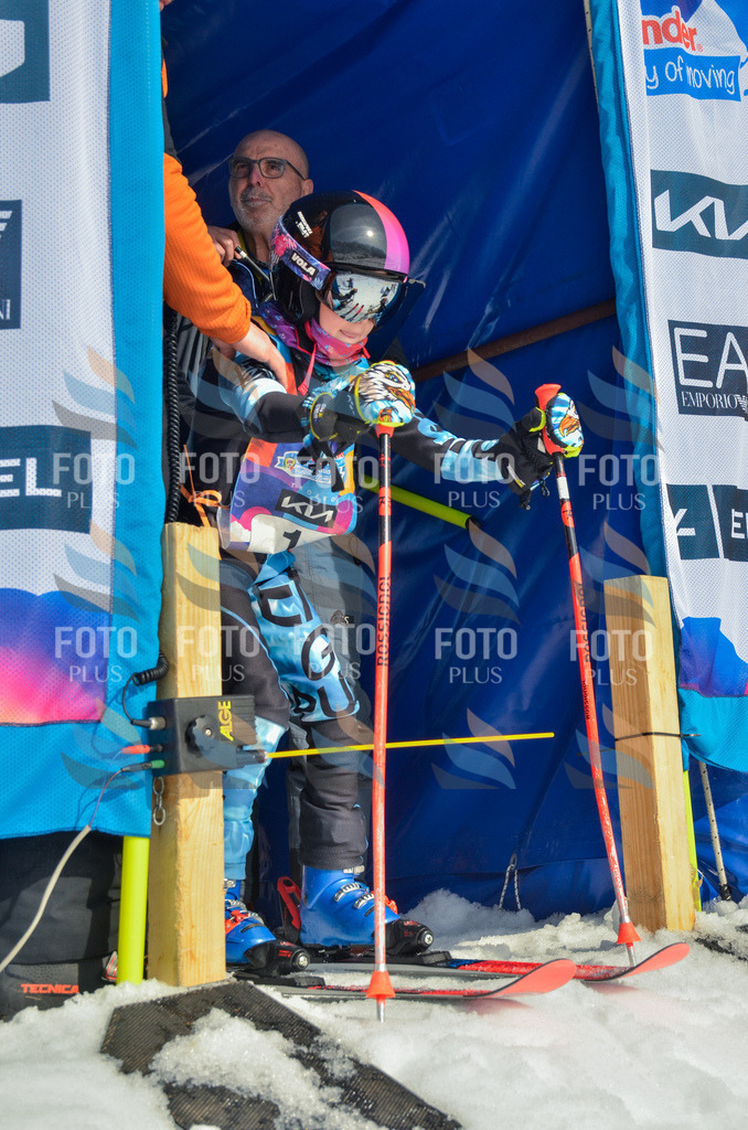 _ELE4321 | holidayphoto