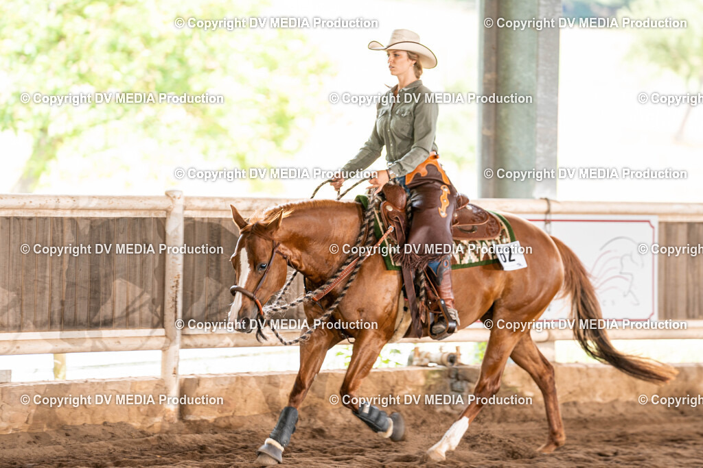 Erbach Tag 1-666 | dv-media-shop - Realisiert mit Pictrs.com