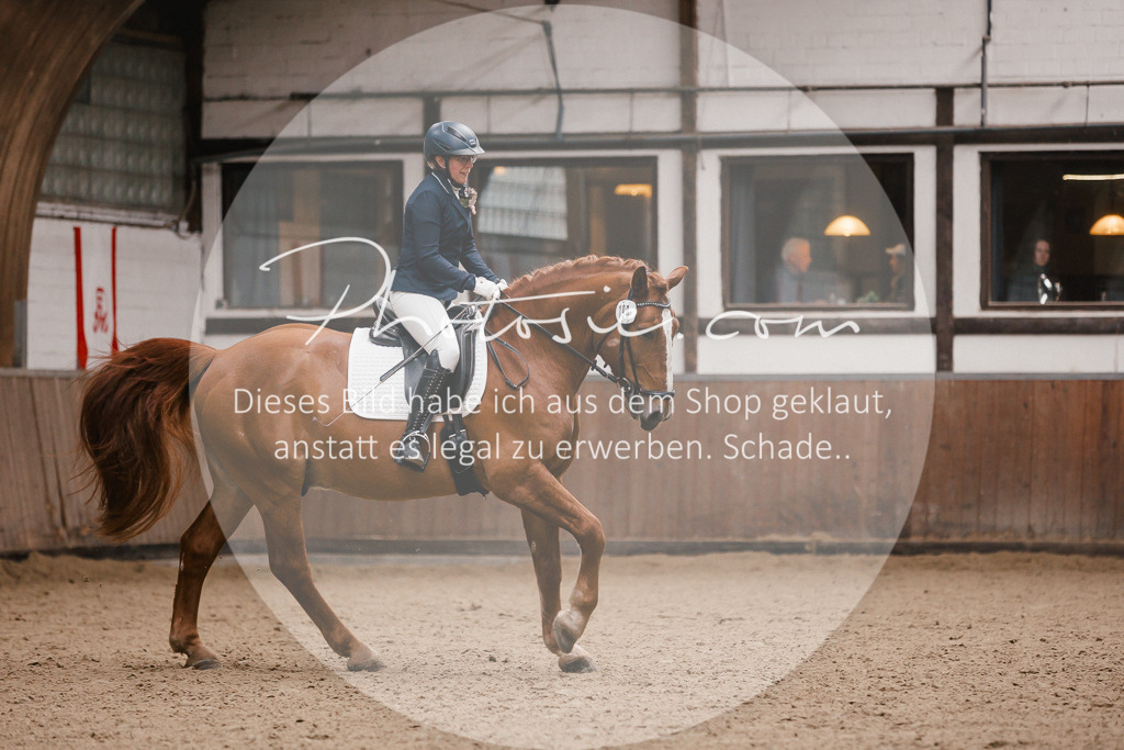 3I6A7297 | Stimmungsvolle Portraits und Reitsportfotografie im Ruhrgebiet und im Münsterland.

Pferdefotografie, Hundefotografie, Tierfotografie, Reportagen, Portraits von Tier und Mensch, Turnierfotografie in Bochum, Recklinghausen, Marl, Haltern am See, Dülmen.. - Realisiert mit Pictrs.com