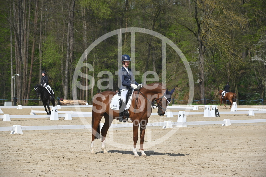 DSC_1138 | sattelsport - Realisiert mit Pictrs.com