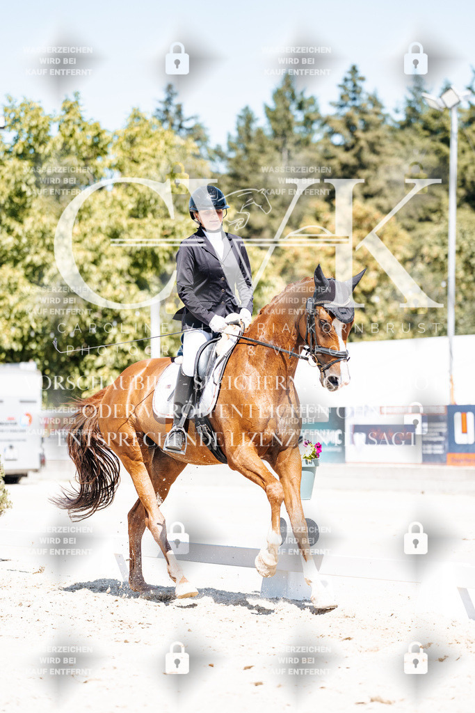CK900437 | Turnierfotografie Pferdefotografie Trier Rheinland-Pfalz Pferdesport Reitsport Tierfotografie Sportfotografie Pferdevideo Pferdevideografie Equestrianvideography equestrianphotography  - Realisiert mit Pictrs.com