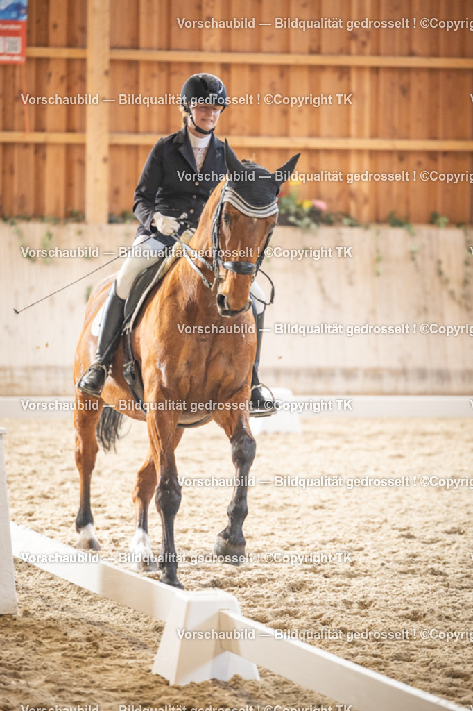 _D5A9386 | Emotionale Pferde- & People-Fotografie rund um Heidelberg, Leimen & Umgebung. Natürliche Fotos von Pferd, Mensch & Familie. Jetzt Termin sichern!