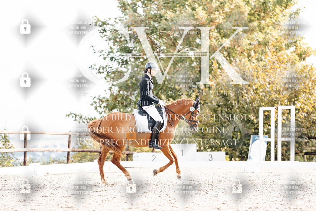CK901067 | Turnierfotografie Pferdefotografie Trier Rheinland-Pfalz Pferdesport Reitsport Tierfotografie Sportfotografie Pferdevideo Pferdevideografie Equestrianvideography equestrianphotography  - Realisiert mit Pictrs.com