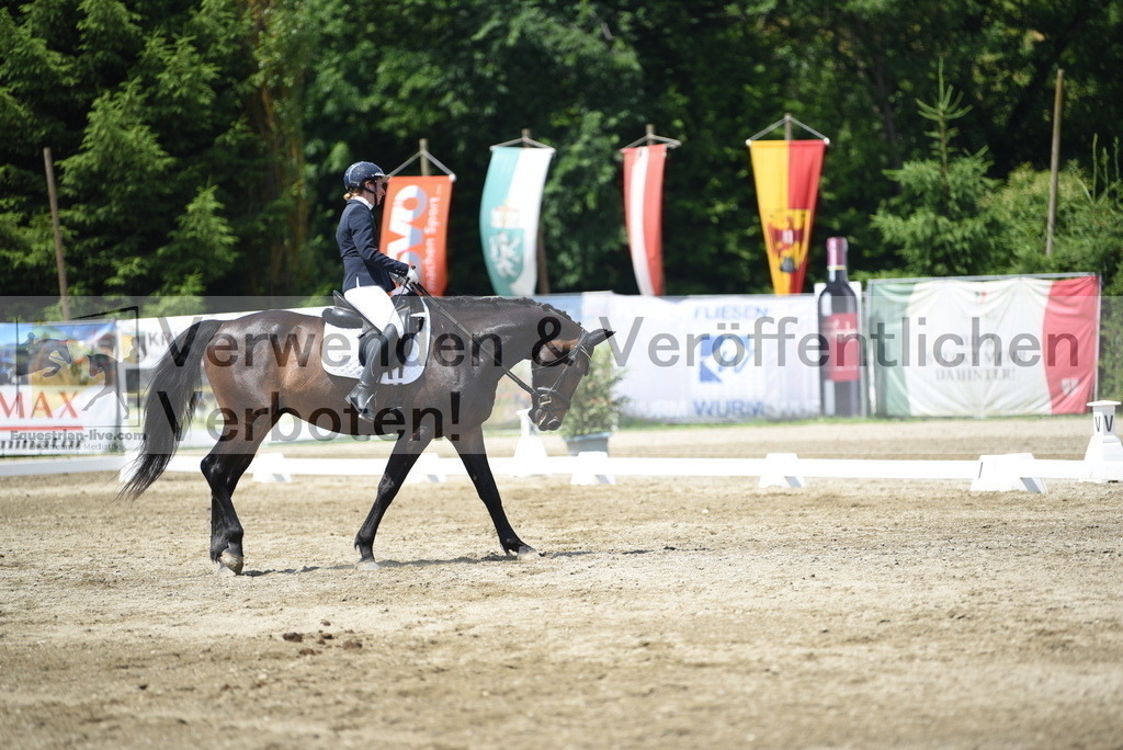 DSC_8975 | equestrian-live-com