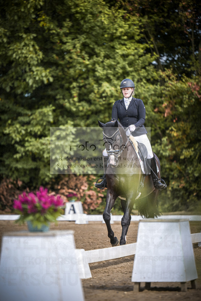 DOS_0237 | Entdecke hochwertige Reitturnierfotos von Foto Oger. Professionell, emotional und authentisch – jetzt Lieblingsmomente im Shop bestellen.Deutschlandweite Turnierfotografie. - Realisiert mit Pictrs.com