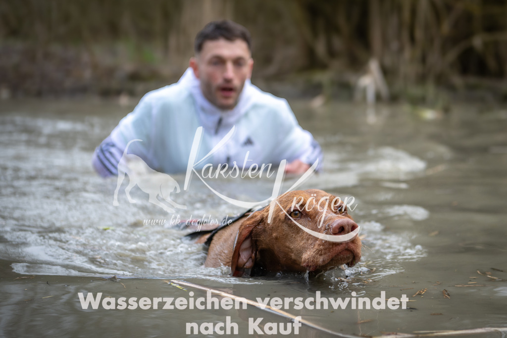 1421_ZZ98575 | kk-dogfotos