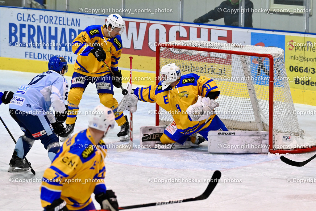 ESC Steindorf vs. EHC Althofen 22.2.2023 | #89 Herrnegger Lucas, #31 Horn Fabian