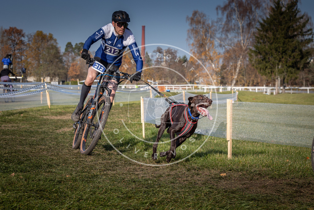 CaniXpix_0L8A7330 | Hundefotografie, Tierfotograf, Pfotenfotografie, Fotoshooting Hund, Hunde Portrait, Hundesport, Hundeportraits, Heideshooting, Hunde, Sportfotograf, Hundefotograf, Turnierhundsport, THS,  - Realisiert mit Pictrs.com