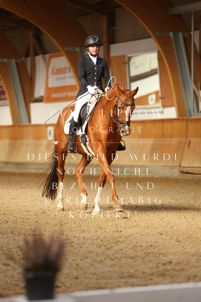 IMGM4136 | pl-fotografie