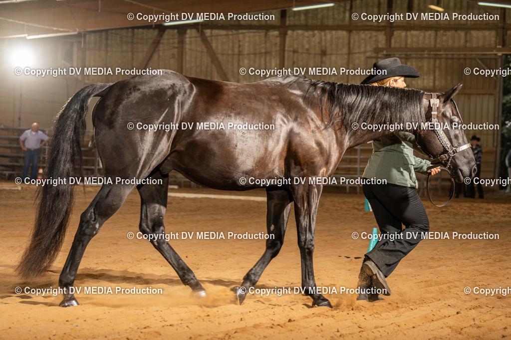 NID02455 | dv-media-shop - Realisiert mit Pictrs.com