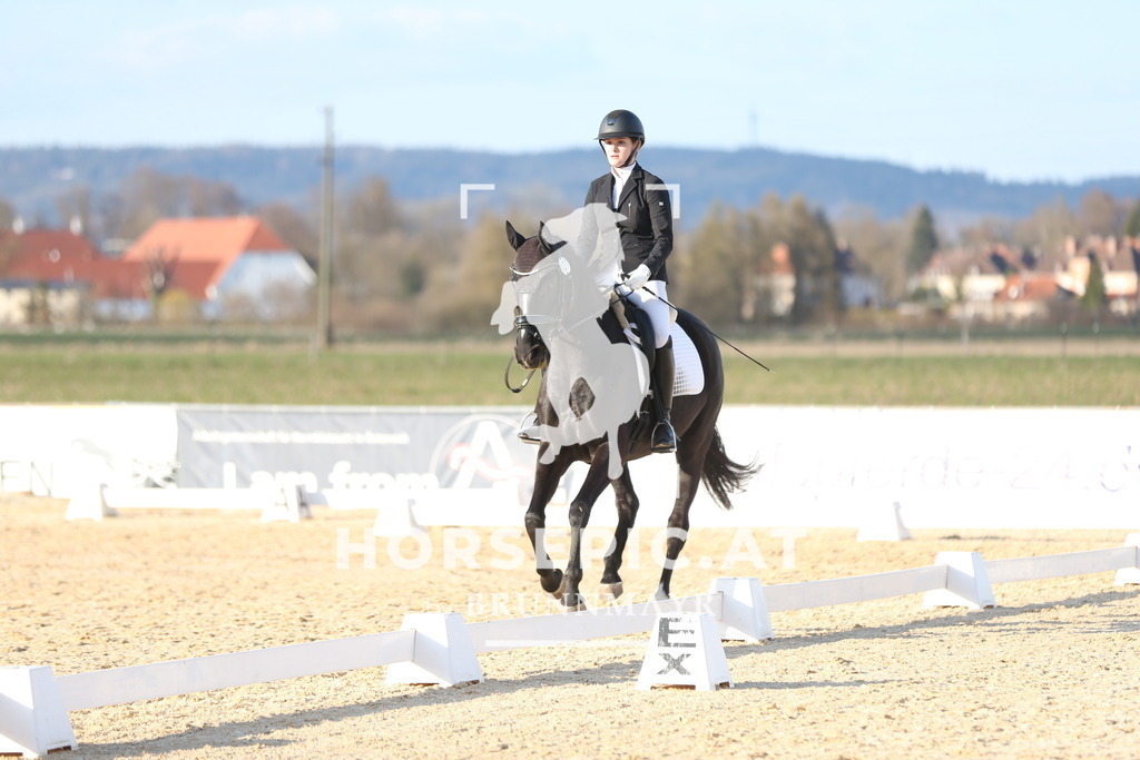 AS8V2170 | Willkommen bei Brunnmayr - Design & Fotografie – Ihrem Spezialisten für Reitturniere und Pferdeveranstaltungen in Oberösterreich, Salzburg und Bayern! Seit über 17 Jahren sind wir leidenschaftlich dabei.