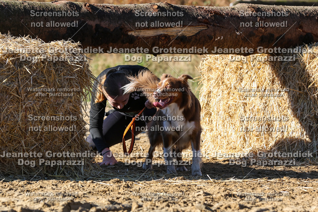Dog Paparazzi - Strongdog 10-25-2166 | Dog Paparazzi Jeanette Grottendiek Fotografie & Videografie - Realisiert mit Pictrs.com