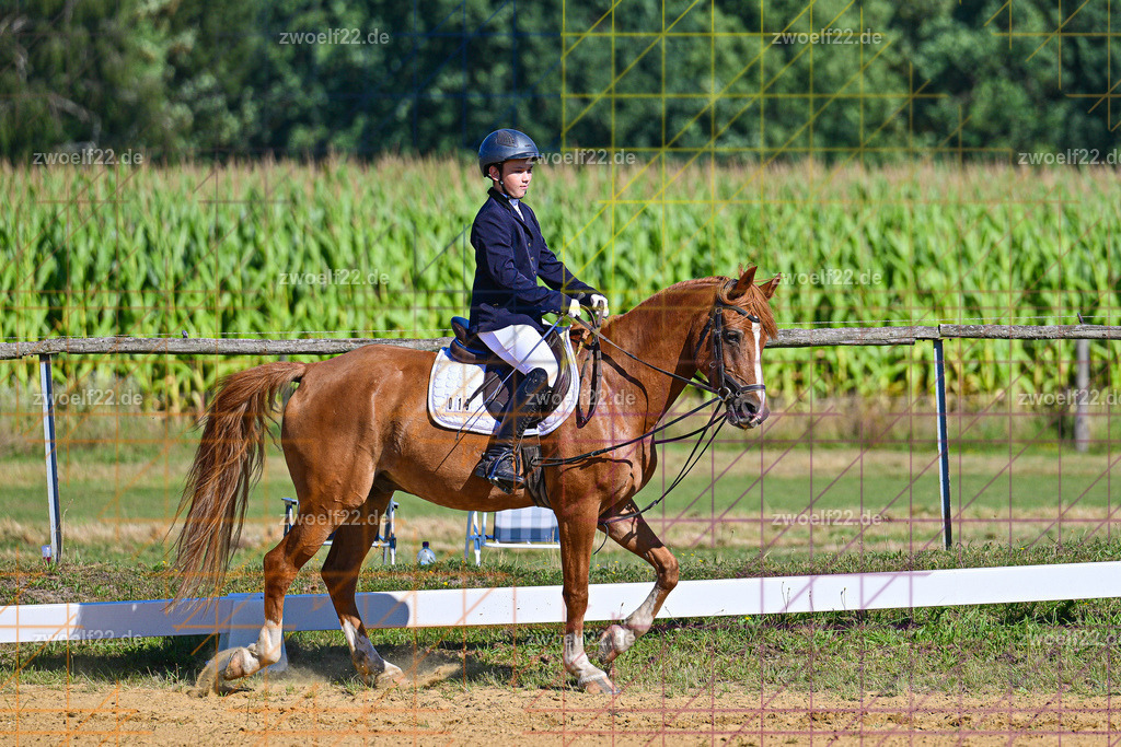 30 Jahre RFV Pulsnitz e.V., Pulsnitz am 09.08.2026 | Zur 28. breitensportlichen Veranstaltung des RFV Pulsnitz e.V. fanden verschiedene Wettbewerbe in nahezu allen Disziplinen des Pferdesport statt. - 04. Großer Dressur-Wettbewerb - Realisiert mit Pictrs.com