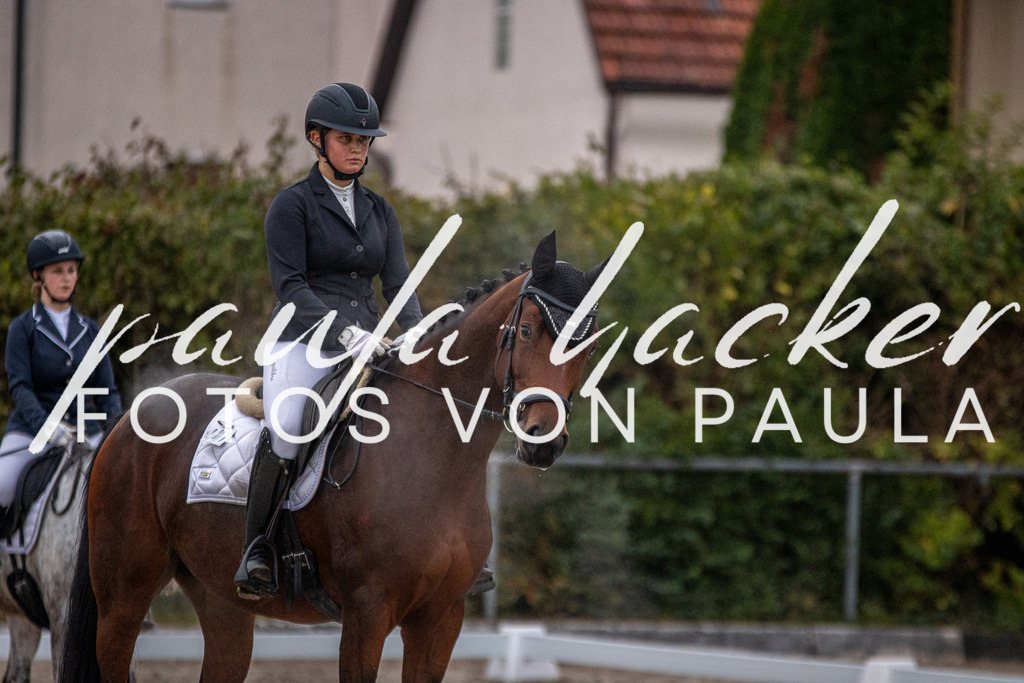 IMG_2343 | Erleben Sie dynamische Sport- und emotionale Tierfotografie in Süddeutschland mit Fotos von Paula. Spezialisiert auf Pferde- und Hundefotografie sowie Sportevents. Kontaktieren Sie mich für einzigartige und ausdrucksstarke Bilder Ihrer besonderen Momente.